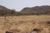 写真24.Nuba山地周辺（乾季）
