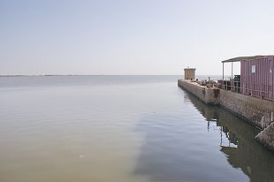 写真6．Jebel Aulia のダム湖、水平線が見える