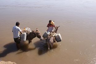 写真4．作業中に河川の水を飲む少女